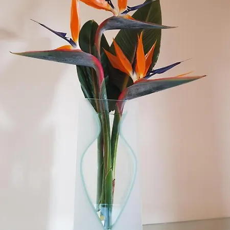 “venik House” Sea_mountains_relaxing_barbecue Appartement